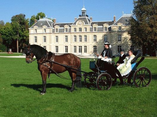 Location de calèche 4 chevaux mariage, festival, carnaval